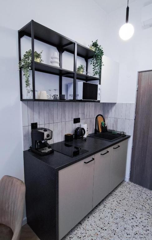 Lion Apartments - Premium Studio With Balcony Cracovia Exterior foto