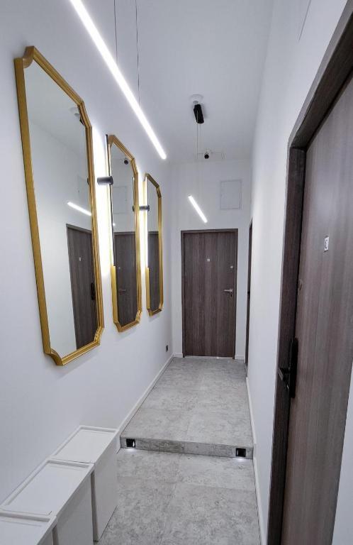 Lion Apartments - Premium Studio With Balcony Cracovia Exterior foto